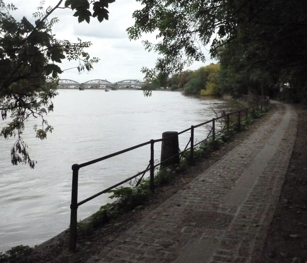 The photo for Improved towpath in Barnes.